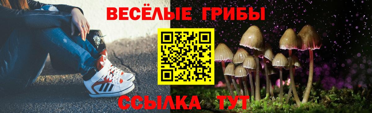 Уварово  Псилоцибиновые грибы мухоморы  Вход с VPN 
